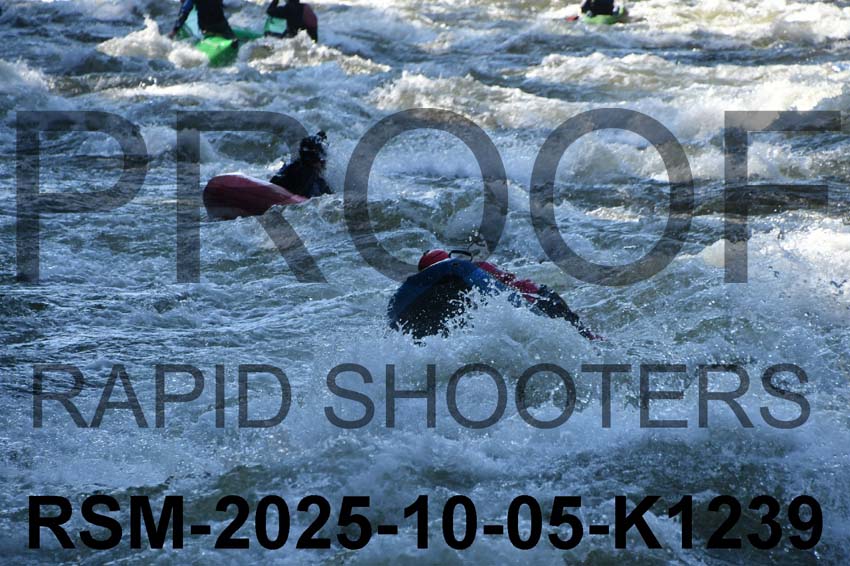 RSM-2025-10-05-K1239