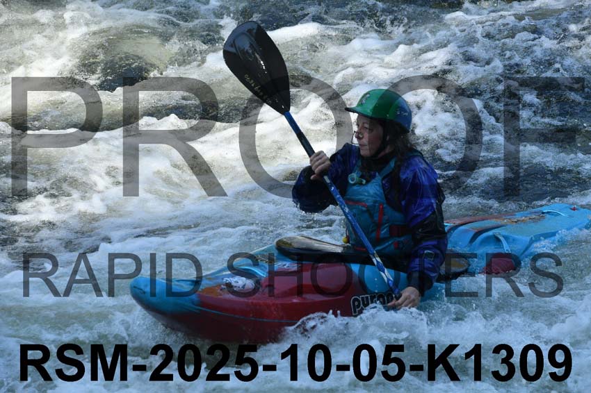 RSM-2025-10-05-K1309