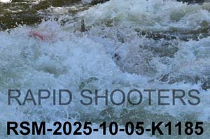 RSM-2025-10-05-K1185