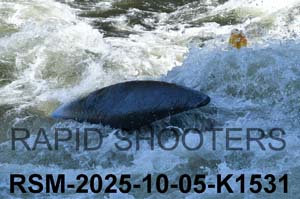 RSM-2025-10-05-K1531
