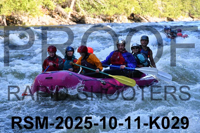 RSM-2025-10-11-K029