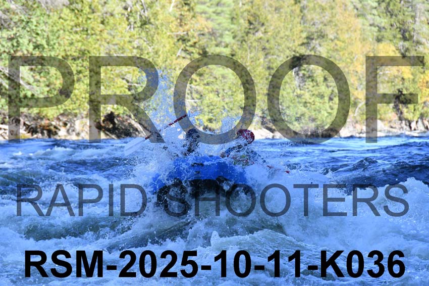 RSM-2025-10-11-K036
