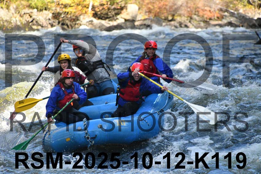 RSM-2025-10-12-K119