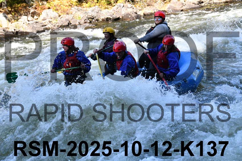 RSM-2025-10-12-K137