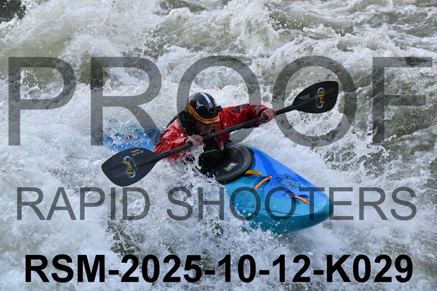 RSM-2025-10-12-K029