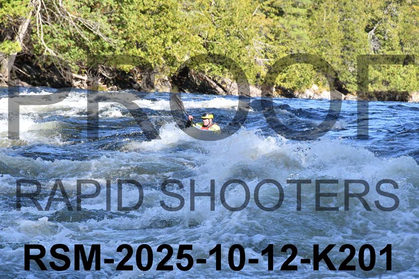 RSM-2025-10-12-K201