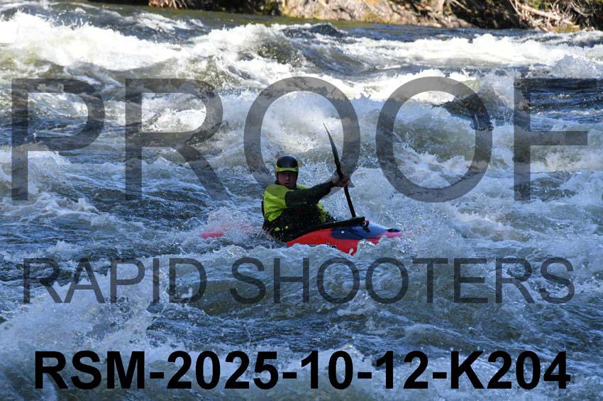 RSM-2025-10-12-K204