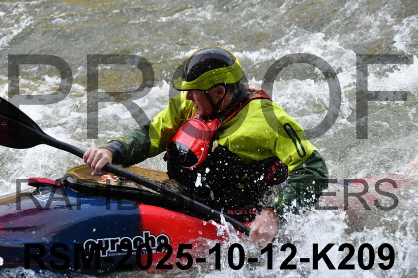 RSM-2025-10-12-K209