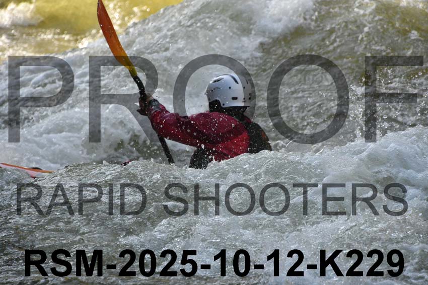 RSM-2025-10-12-K229