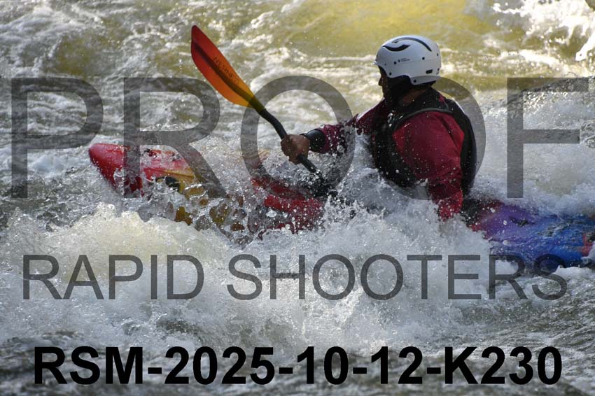 RSM-2025-10-12-K230