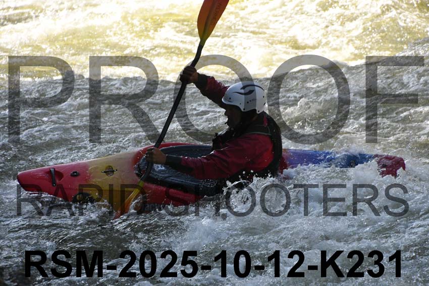 RSM-2025-10-12-K231
