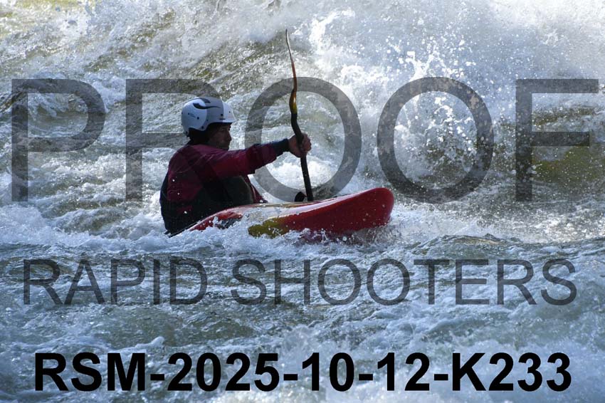 RSM-2025-10-12-K233
