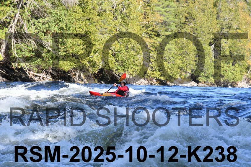 RSM-2025-10-12-K238