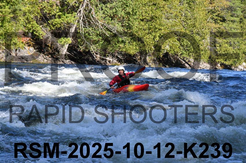 RSM-2025-10-12-K239